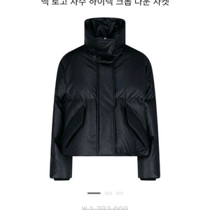 메종마르지엘라 페이크레더 다운패딩 55.66