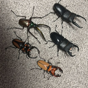 반다이 생물대도감 8탄 사슴벌레 이미지