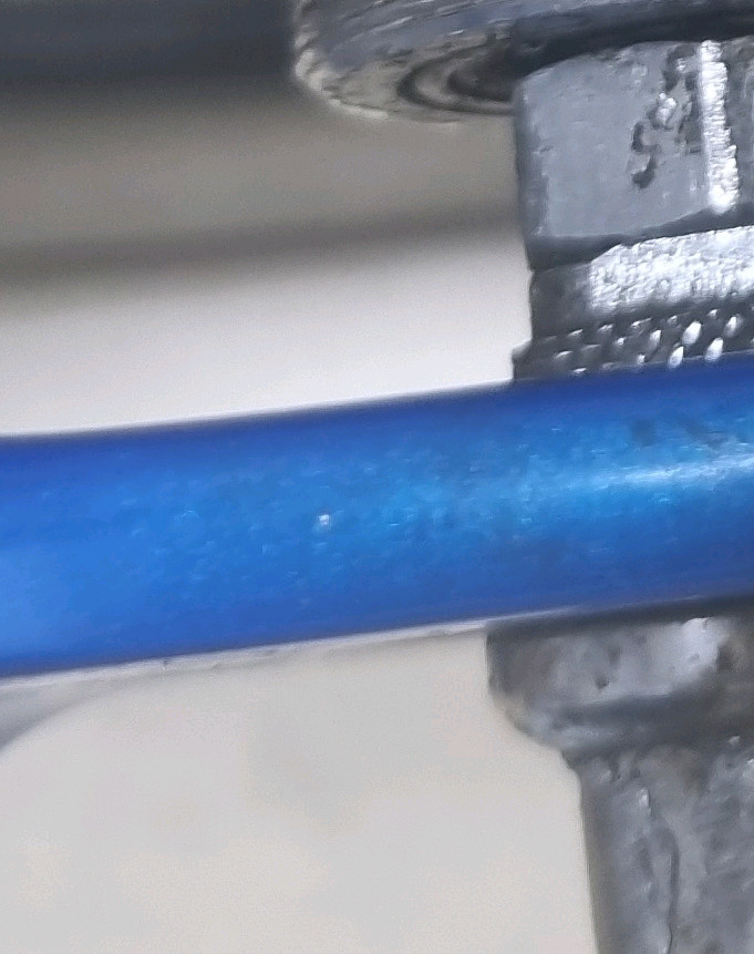 엔진11 2025크릿디 블루스킨 반차 또는 완차 팝니다 노먹노크 나머지하자갠주세요--3