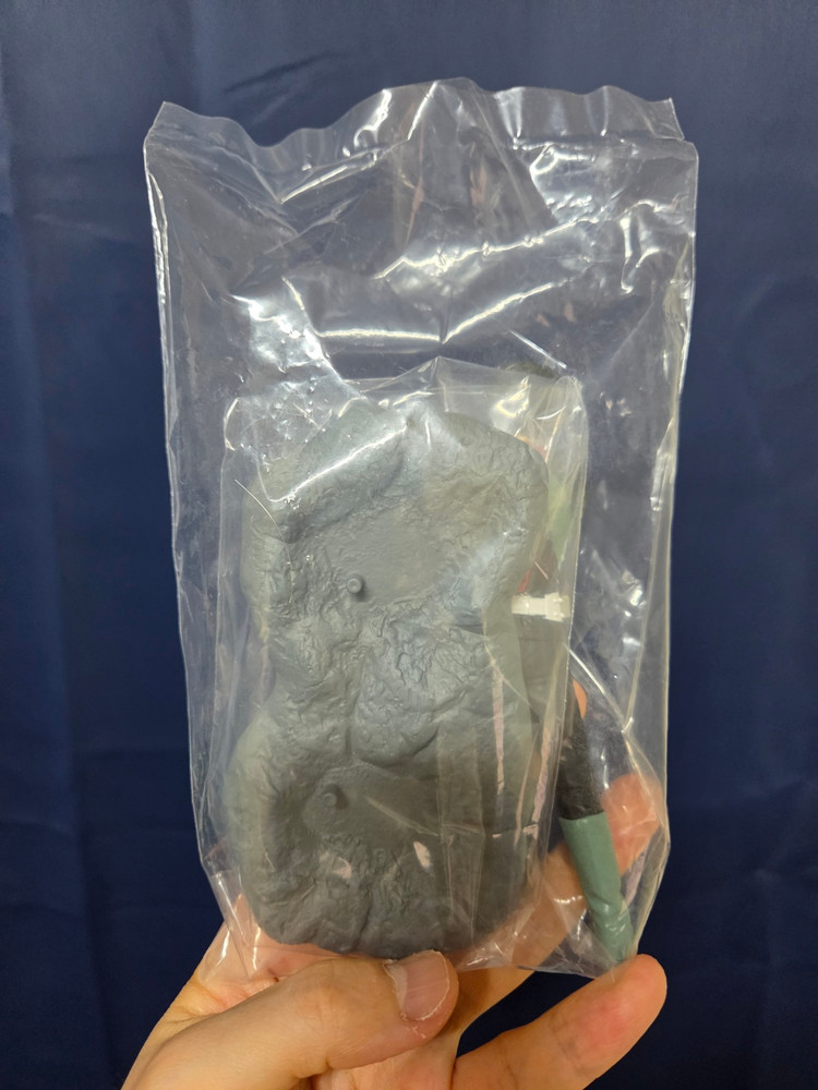 [레어템] 반프레스토 프리미엄 클럽 마스크드 라이더 컬렉션 가면라이더 1호 피규어--1