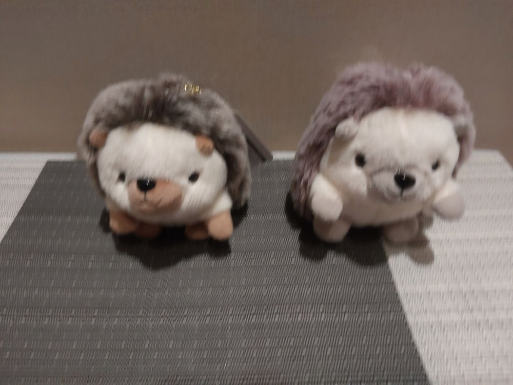 봉제정품)예쁜고슴도치 키링 미개봉사진찍기위해 개봉함 ( 이미지