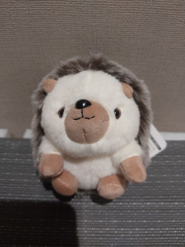 봉제정품)예쁜고슴도치 키링 미개봉사진찍기위해 개봉함 ( 이미지