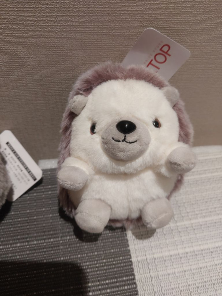 봉제정품)예쁜고슴도치 키링 미개봉사진찍기위해 개봉함 ( 이미지