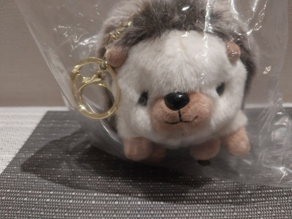 봉제정품)예쁜고슴도치 키링 미개봉사진찍기위해 개봉함 ( 이미지