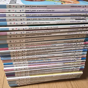 영어원서 시리즈 주니비존스 28권