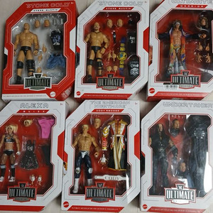 wwe 피규어 얼티밋시리즈 스티브오스틴,워리어,알렉사블리스,코디로즈,언더테이커 팝니다.
