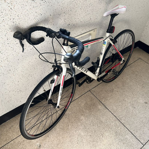 트렉 자전거 트랙 로드 자전거 이미지