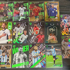 파니니 축구카드 탑클래스(국대)