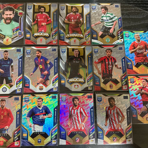 파니니 축구카드(리버풀, 클럽, 레전드)