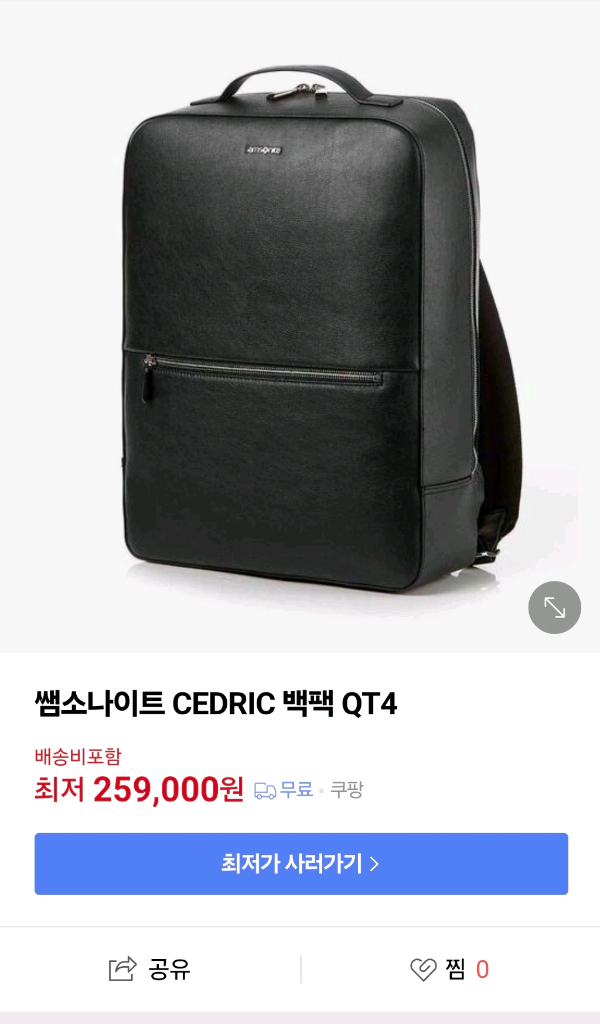 초급처 쌤소나이트 CEDRIC 백팩 QT4 09001--4