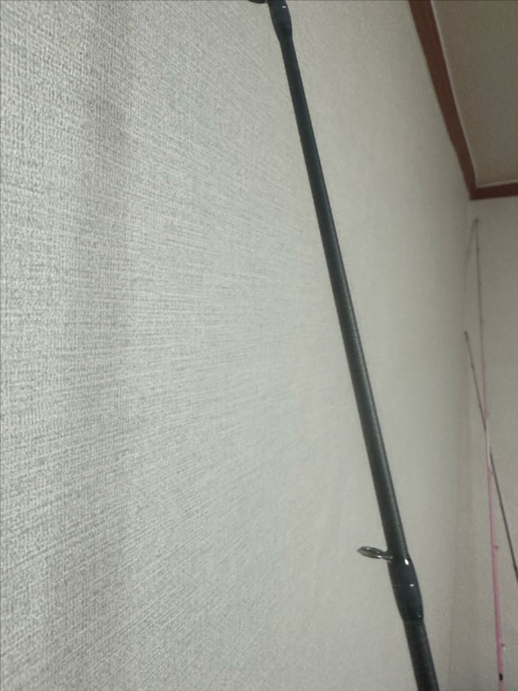 메가 배스 디스트로이어P5 X-BITES F5-72X 이미지