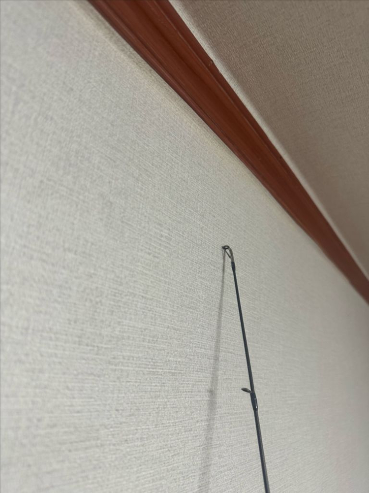 메가 배스 디스트로이어P5 X-BITES F5-72X 이미지