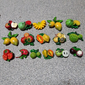 냉장고 과일마그넷(16개)