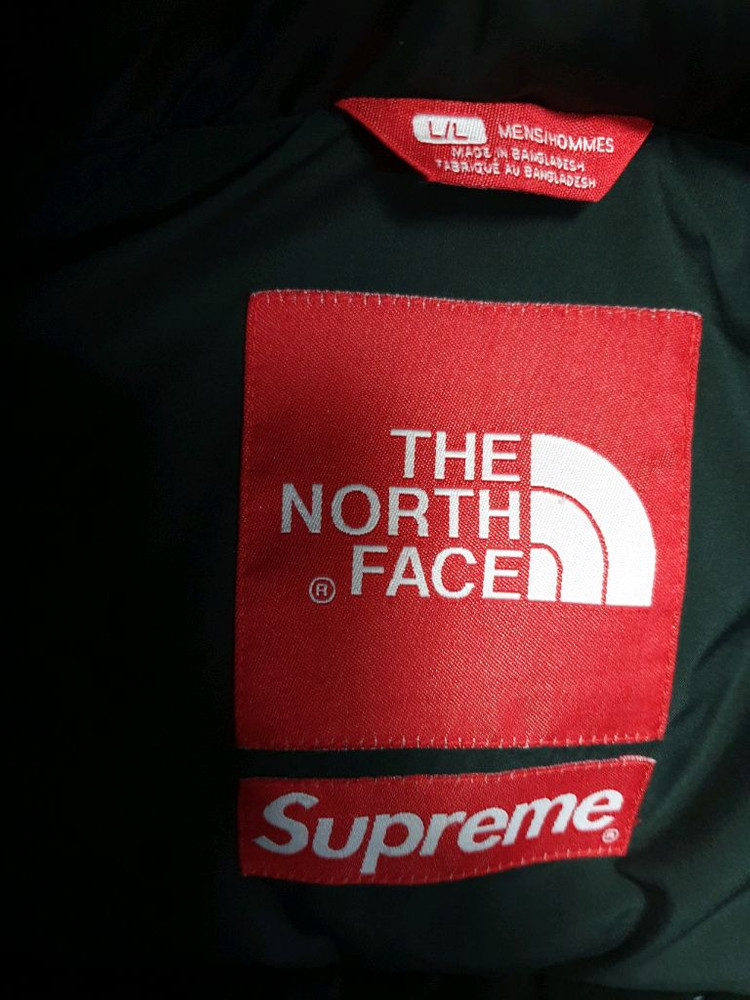 노스페이스 슈프림 11fw 레오파드 눕시 치토스 패딩 (L)--5