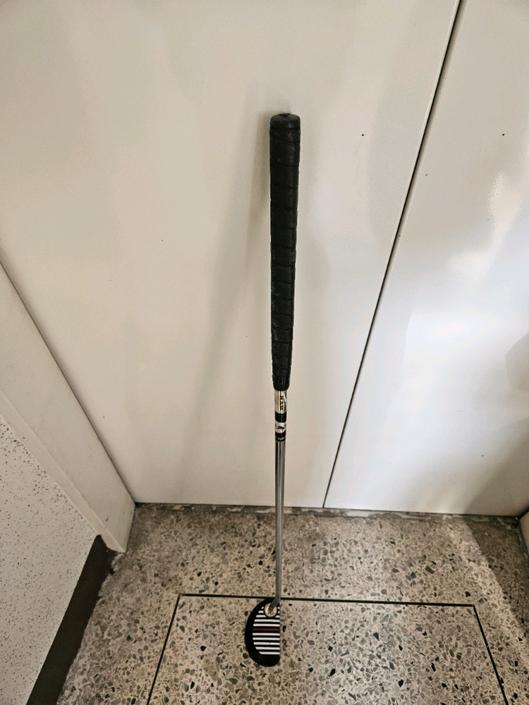 RAM FX5 S1 ZEBRA 33인치 퍼터--3