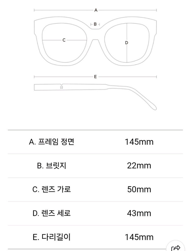 스프링스트링스 다이애나 클리어 투명 뿔테 빅사이즈 틴트 선글라스--3