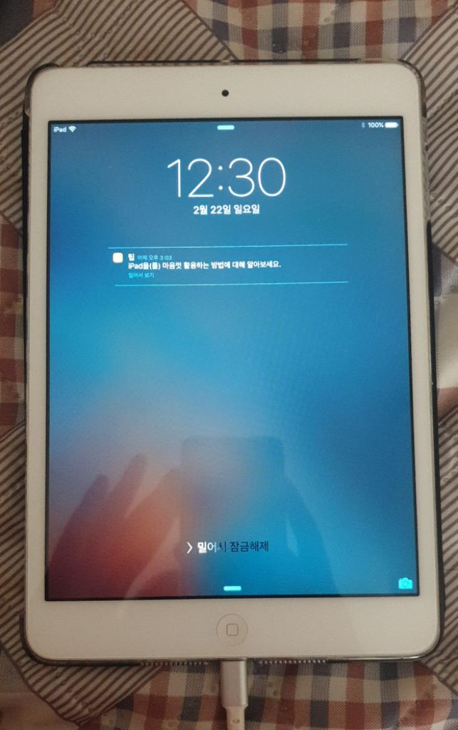 아이패드 미니 1세대 16gb--3
