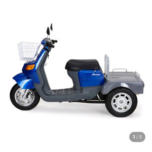 비엠모터스 델파 800W 삼륜 전기 오토바이 이미지