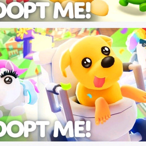 입양하세요 급처펫 삽니다(급하게 파시는분만) 이미지