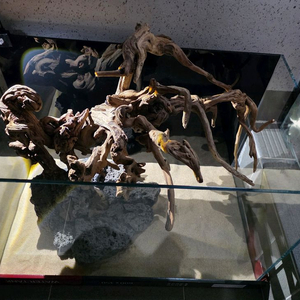 수초 장식용 유목 어항 데코 레이아웃