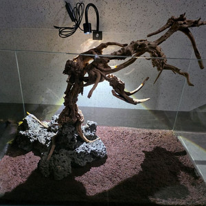 유목 레이아웃 어항 수족관 드로우브