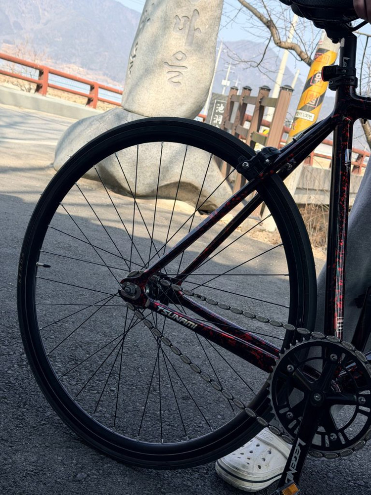 픽시 자전거 쓰나미 snm100 불꽃레드--2