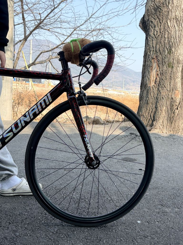 픽시 자전거 쓰나미 snm100 불꽃레드--3