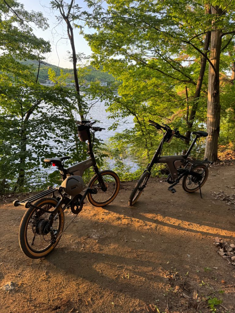 베스비 전동 PSF1 접이식 전기자전거 (두대 일괄) 판매합니다.--3