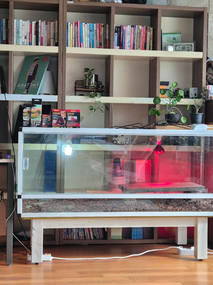전남 파충류 유리 5자 초광폭,하이 사육장 구성품 포함--1