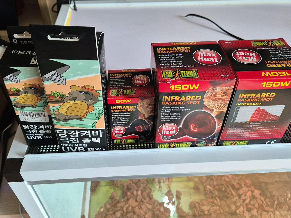 전남 파충류 유리 5자 초광폭,하이 사육장 구성품 포함--2