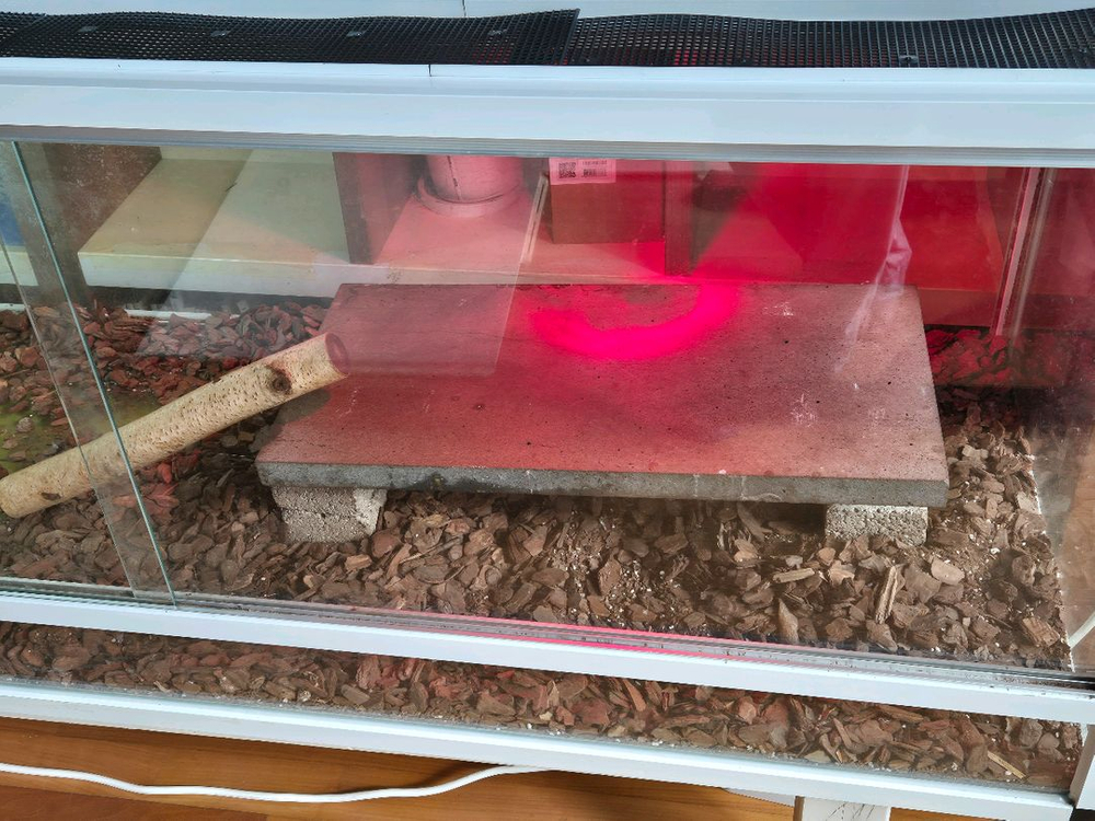 전남 파충류 유리 5자 초광폭,하이 사육장 구성품 포함--3