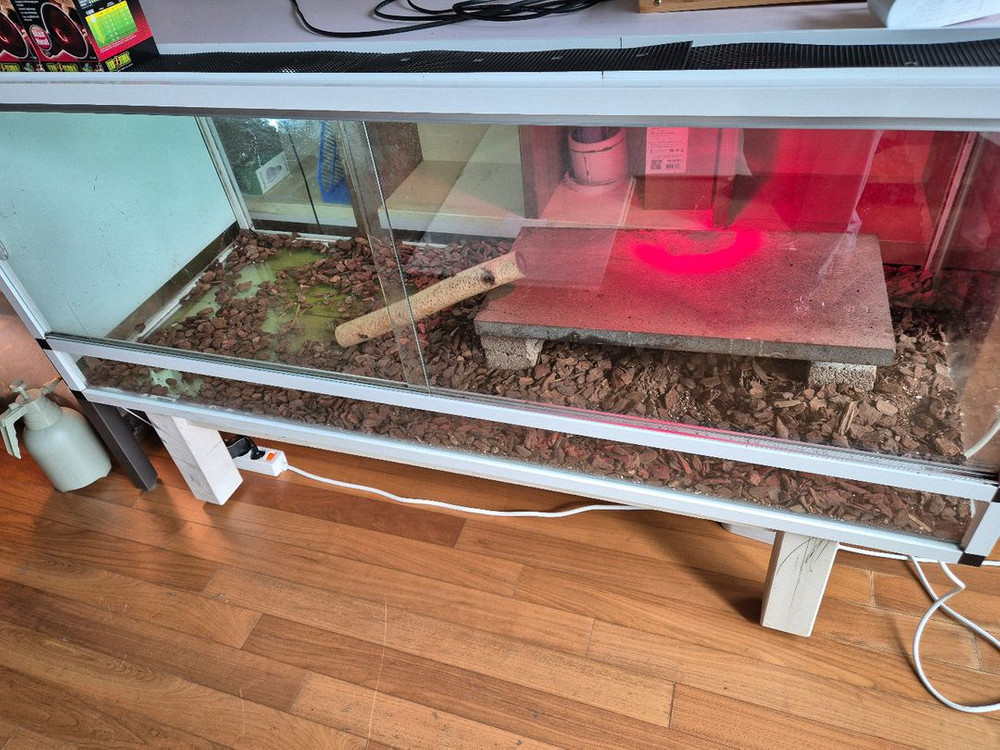 전남 파충류 유리 5자 초광폭,하이 사육장 구성품 포함--4