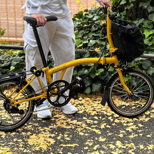 브롬톤 c라인 2025년식 접이식 자전거 범블비( 펌프 포함))