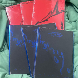 미개봉) 한로로 이상비행 집 HOME 앨범 ep