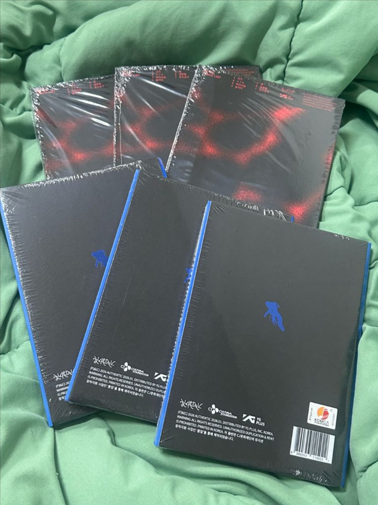 미개봉) 한로로 이상비행 집 HOME 앨범 ep--1