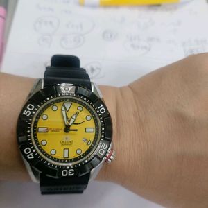오리엔트 오토매틱 다이버