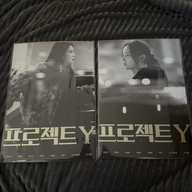 영화포스터 28장 A3 휴민트 영원 프로젝트Y 아바타 야당 대도시의사랑법 등--1
