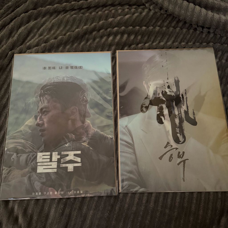 영화포스터 28장 A3 휴민트 영원 프로젝트Y 아바타 야당 대도시의사랑법 등--3