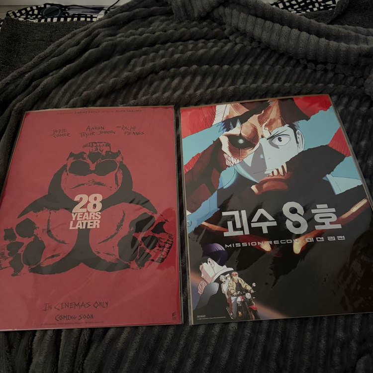 영화포스터 28장 A3 휴민트 영원 프로젝트Y 아바타 야당 대도시의사랑법 등--9