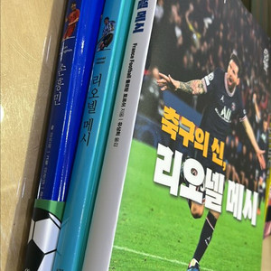 후 시리즈 손흥민 , 리오넬메시, 축구의 신 리오넬메시