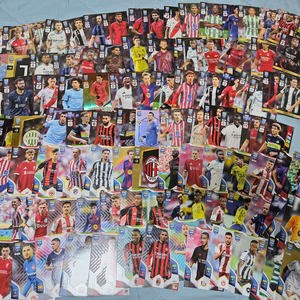 파니니 FIFA 365 축구 카드 컬렉션 100장 택포1.3만원