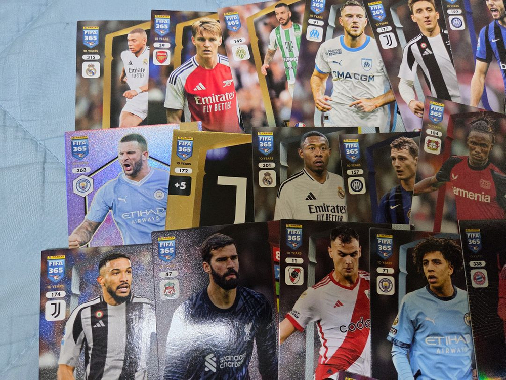 파니니 FIFA 365 축구 카드 컬렉션 100장 택포1.3만원--1