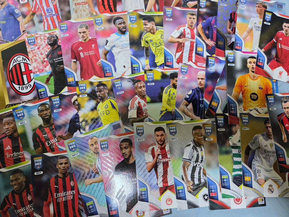 파니니 FIFA 365 축구 카드 컬렉션 100장 택포1.3만원--2