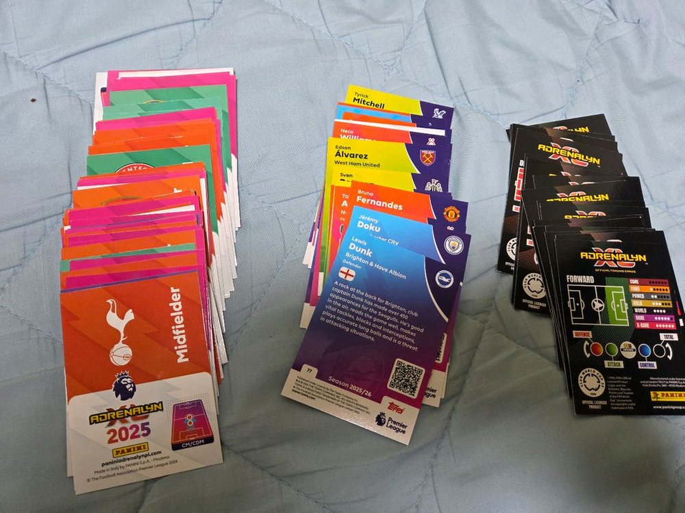 파니니 EPL 축구 카드 100장이상 택포 1.3만원--3