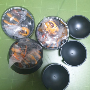 생물대도감 어드밴스 말벌 1탄 캡슐판