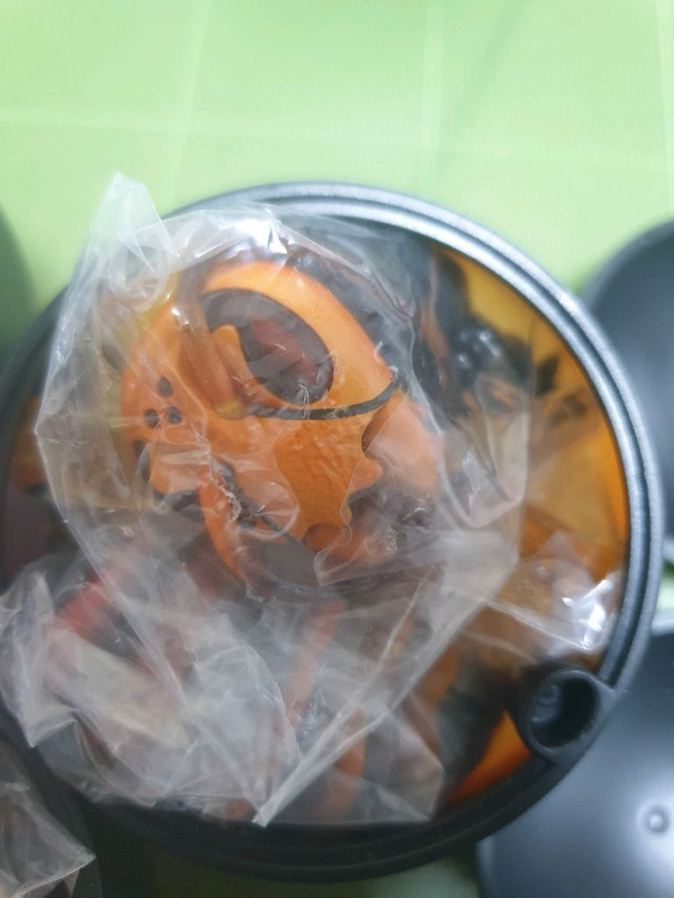 생물대도감 어드밴스 말벌 1탄 캡슐판--1