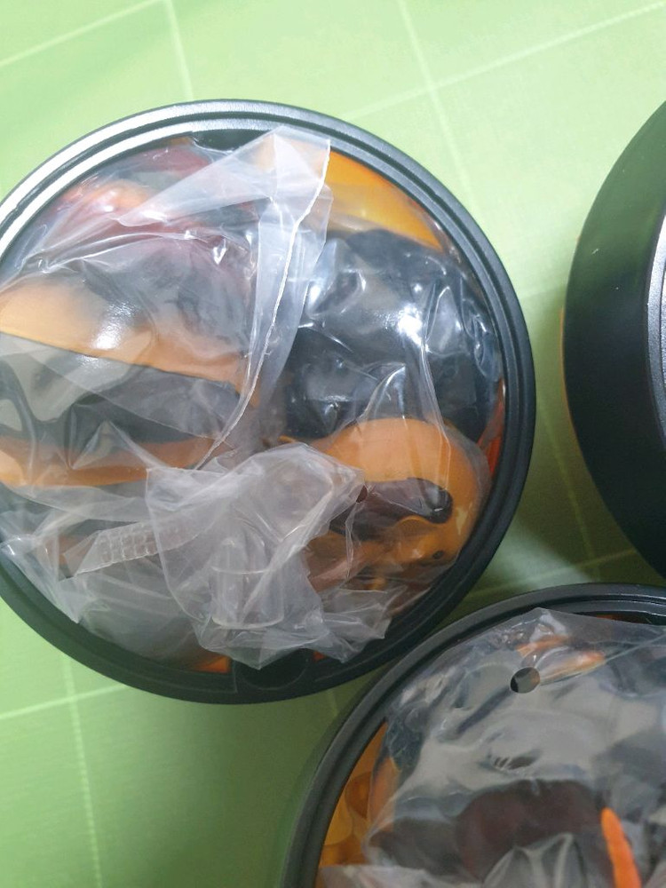 생물대도감 어드밴스 말벌 1탄 캡슐판--3