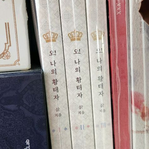 왕샤오 회지 <오! 나의 황태자>