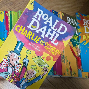 로알드 달 영어 원서 시리즈 세트