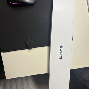 애플워치 SE 44MM 스그